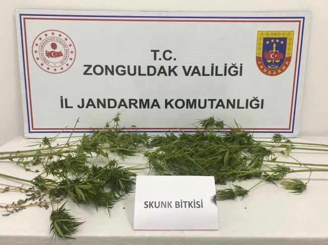 Zonguldak'ta uyuşturucu operasyonu
